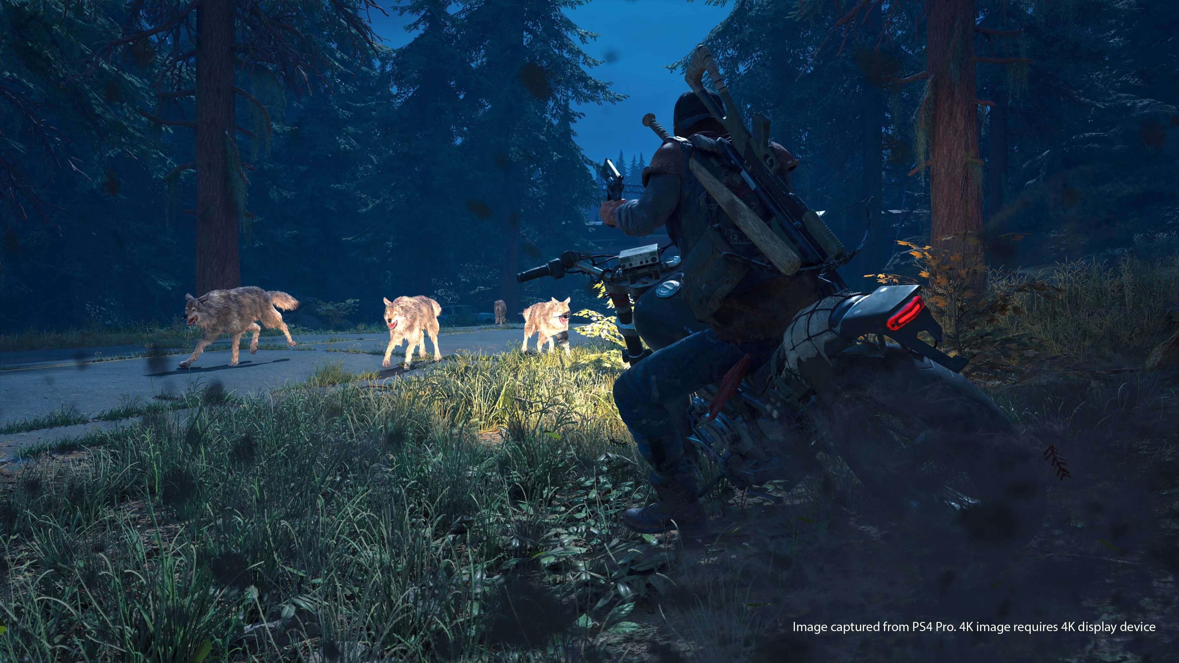 Days Gone - Imagen 4